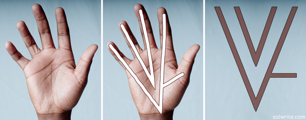 fleshandbone Whats The Secret To ASL Digits?